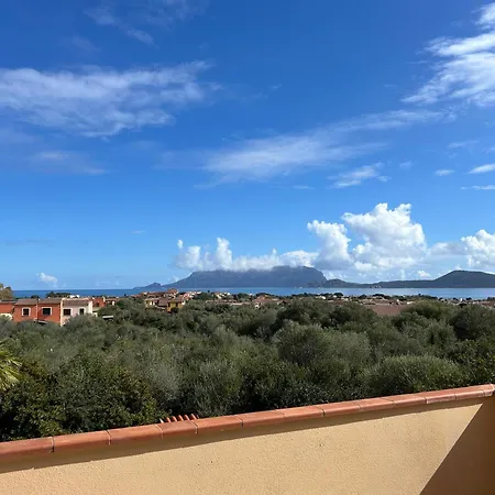 Apartman Ulivo Olbia
