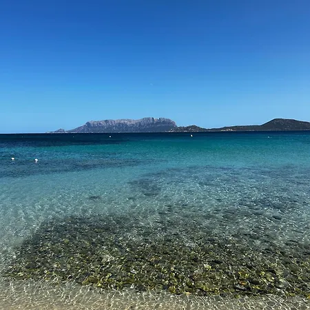 Apartman Ulivo Olbia