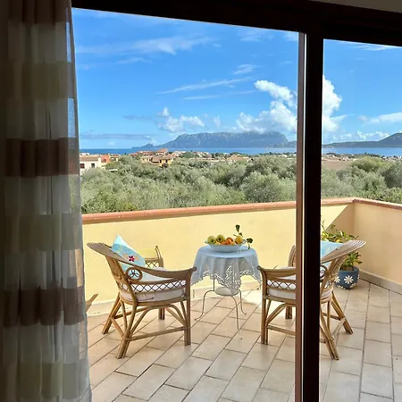 Ulivo Apartman