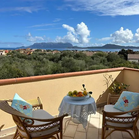 Ulivo Olbia
