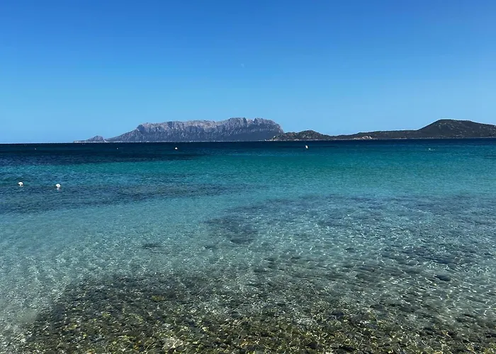 Apartament Ulivo Olbia